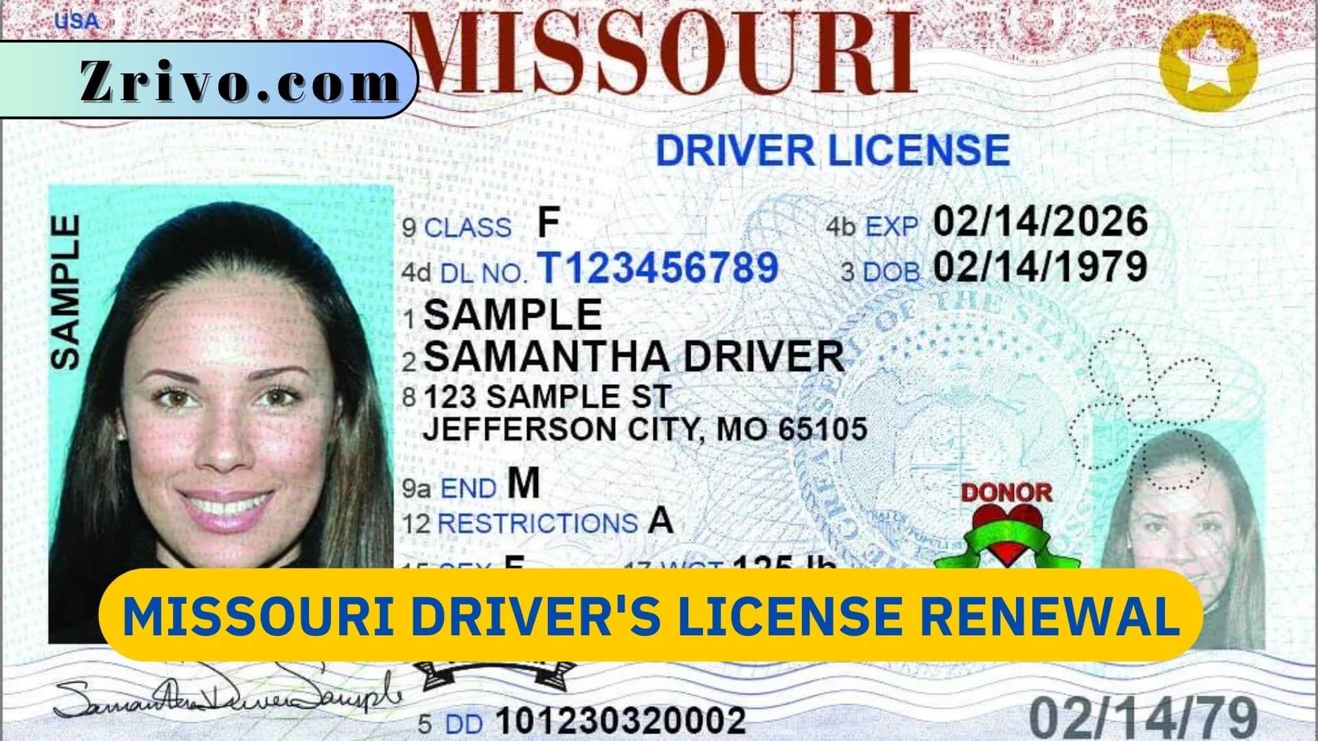 Missouri Driver's License Renewal