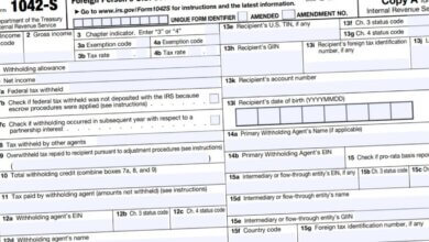 Form 1042-S Instructions