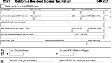Form 540-EZ California
