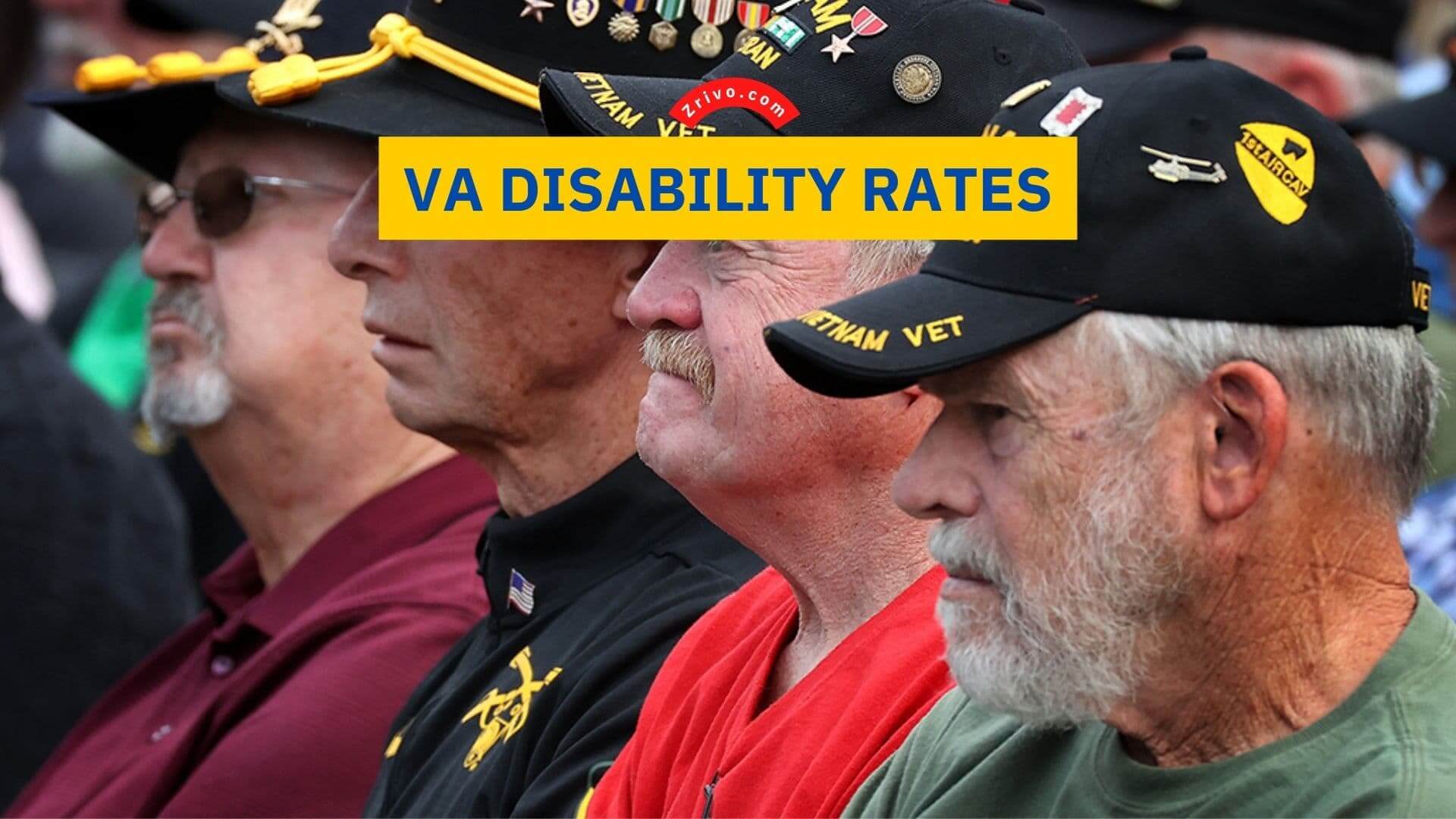 VA Disability Rates