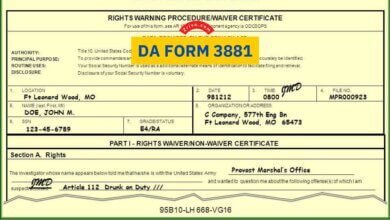DA Form 3881