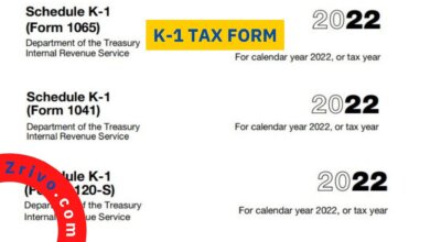 K-1 Tax Form