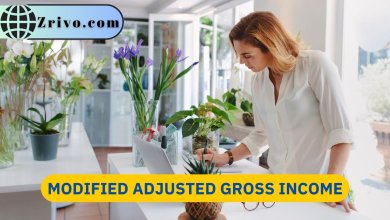 Modified Adjusted Gross Income