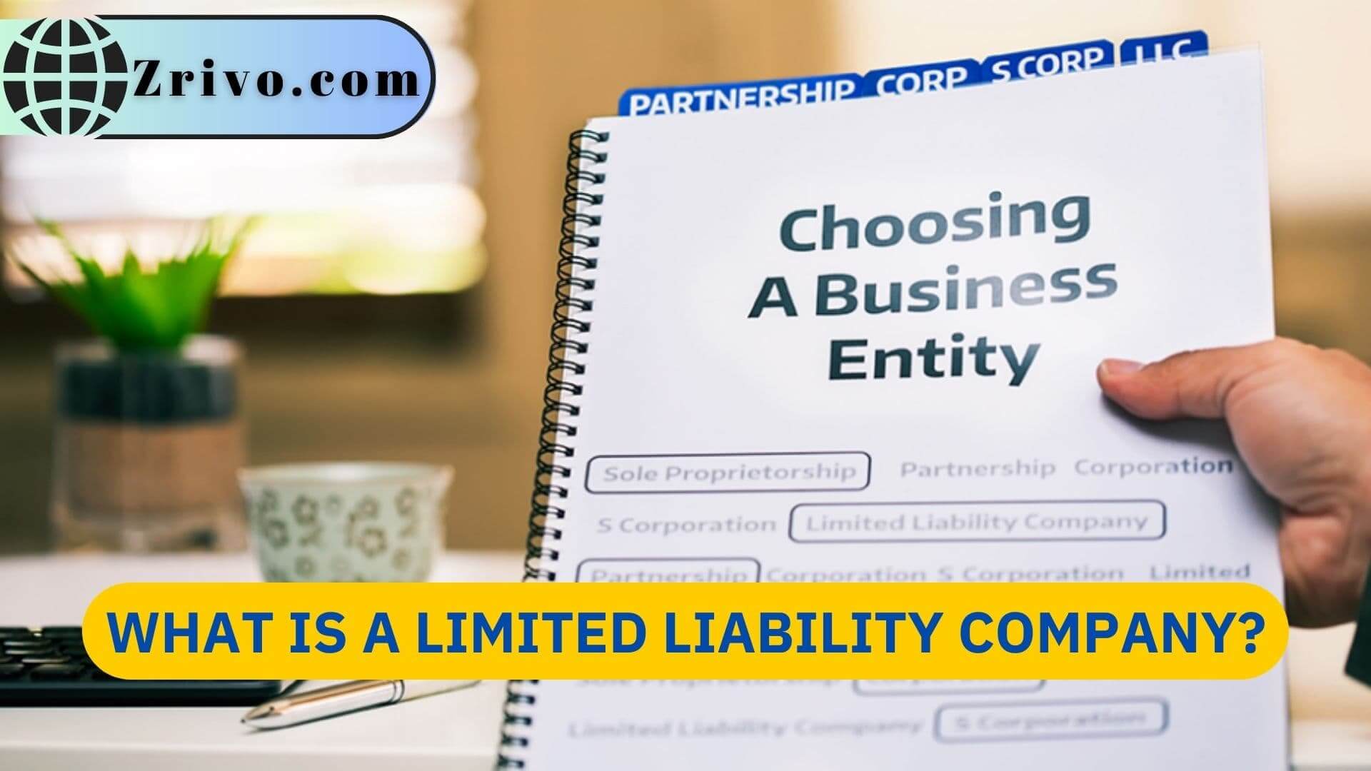 What is a Limited Liability Company?