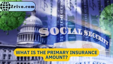 What is the Primary Insurance Amount