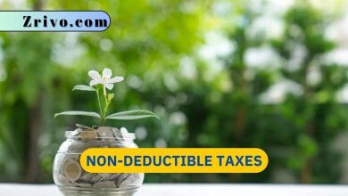 Non-Deductible Taxes