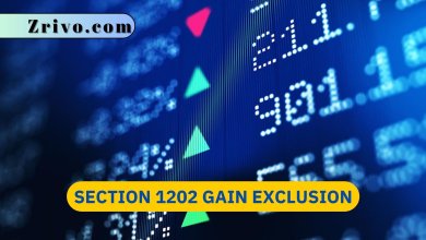 Section 1202 Gain Exclusion