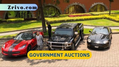 Government Auctions