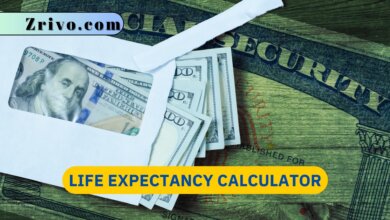 Life Expectancy Calculator