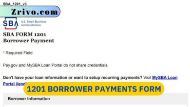1201 Borrower Payments Form