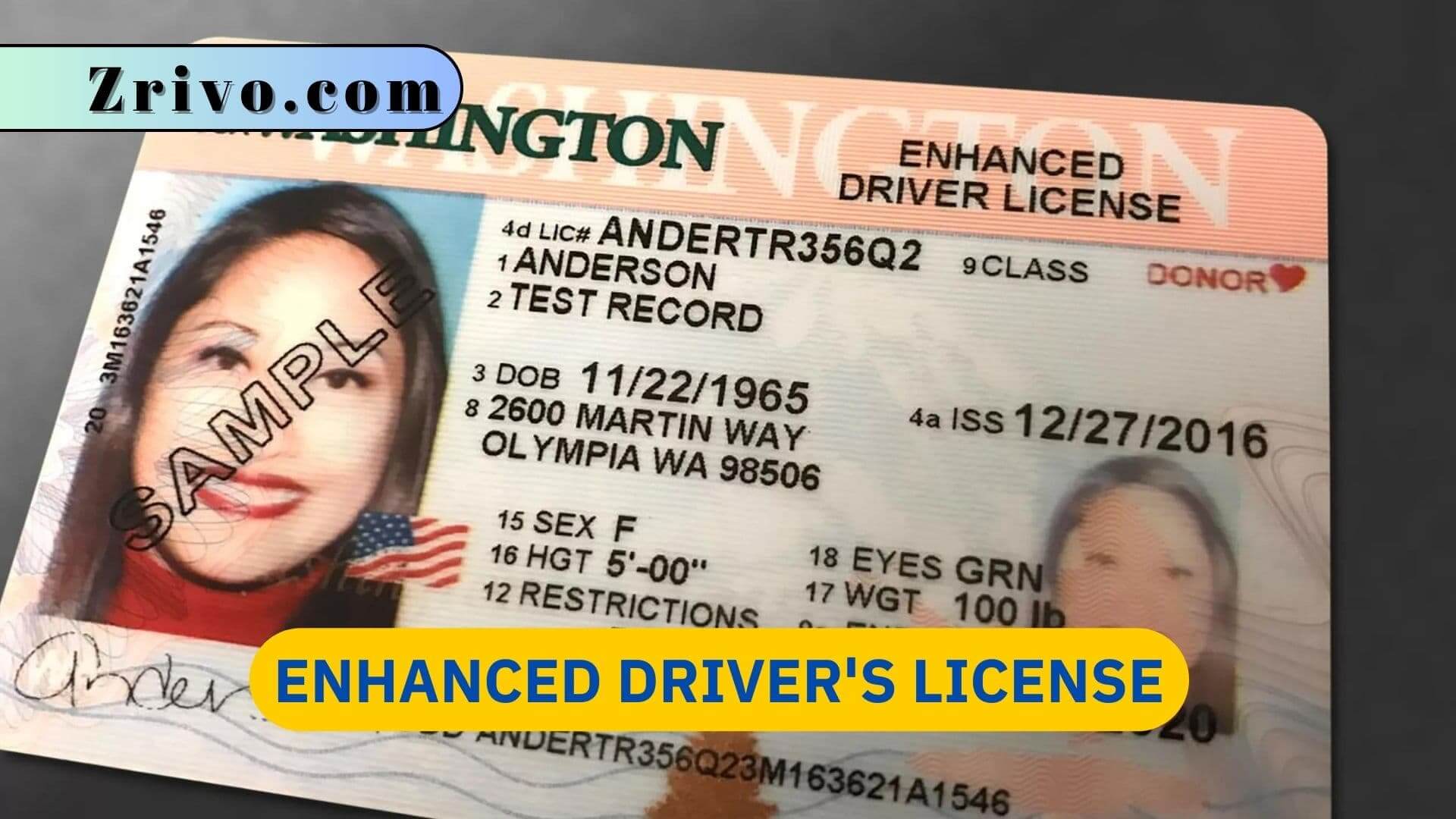 Enhanced Driver's License