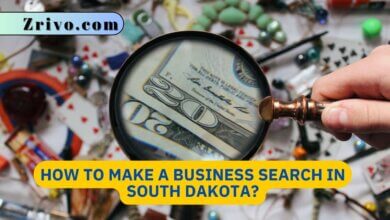 How to Make a Business Search in South Dakota?