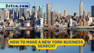 How to Make a New York Business Search