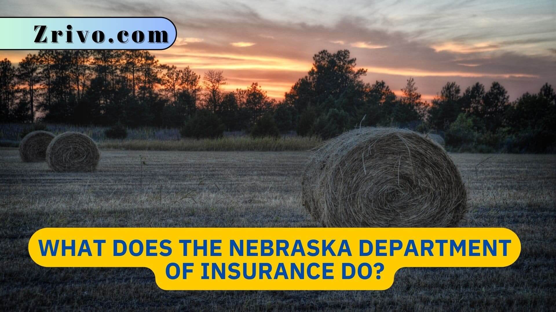 What Does the Nebraska Department of Insurance Do