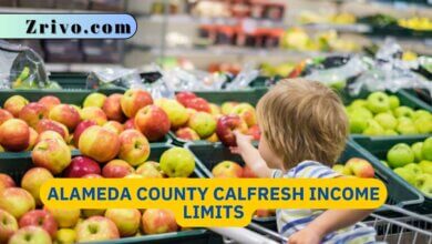 Alameda County CalFresh Income Limits