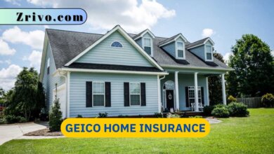 GEICO Home Insurance