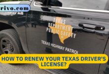 How to Renew Your Texas Driver's License?