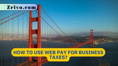 How to Use Web Pay for Business Taxes