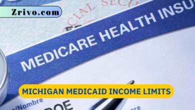 Michigan Medicaid Income Limits