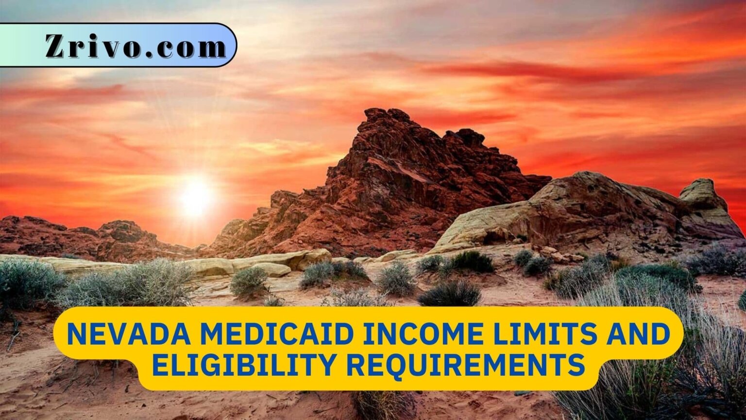 Nevada Medicaid Limits And Eligibility Requirements 2024