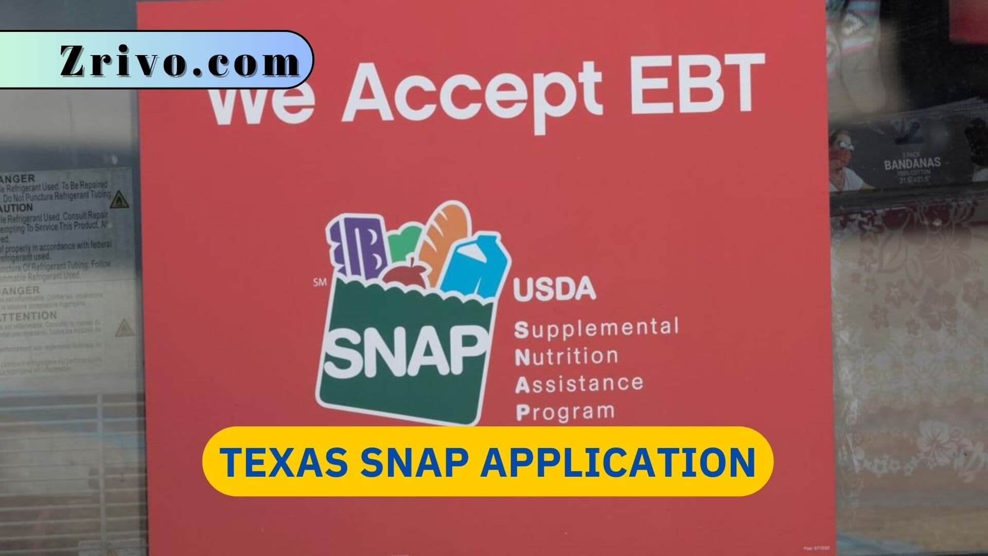 Texas SNAP Application