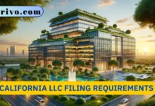 California LLC Filing Requirements