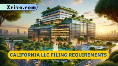 California LLC Filing Requirements