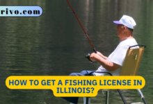 How to Get a Fishing License in Illinois