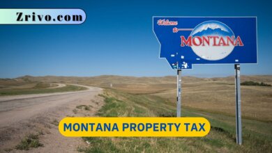 Montana Property Tax
