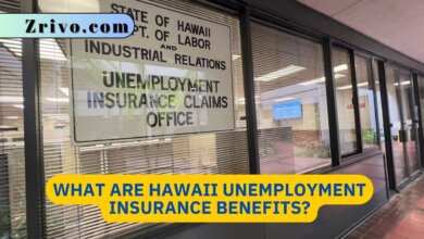 What Are Hawaii Unemployment Insurance Benefits