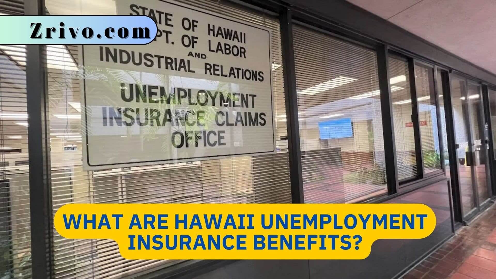 What Are Hawaii Unemployment Insurance Benefits