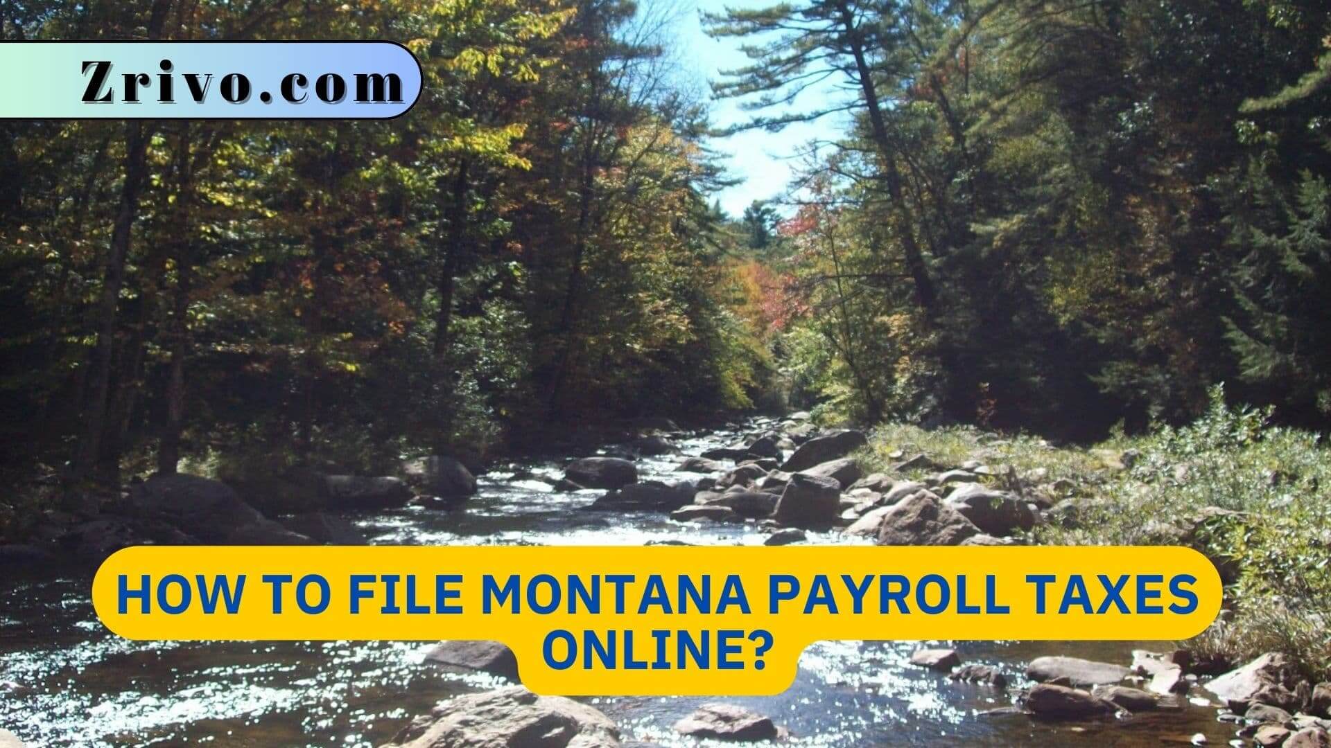 How to File Montana Payroll Taxes Online