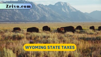 Wyoming State Taxes