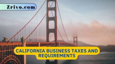 California Business Taxes and Requirements