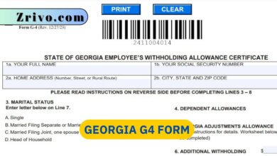 Georgia G4 Form