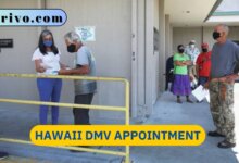 Hawaii DMV Appointment