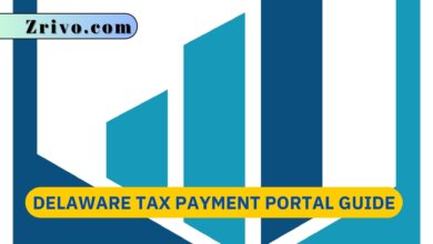 Delaware Tax Payment Portal Guide