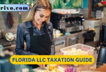 Florida LLC Taxation Guide