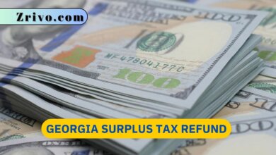 Georgia Surplus Tax Refund