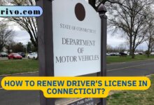 How to Renew Driver's License in Connecticut