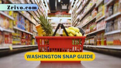Washington SNAP Guide